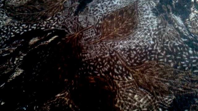 Расклады таро. "Определение времени событий" на таро смотреть онлайн