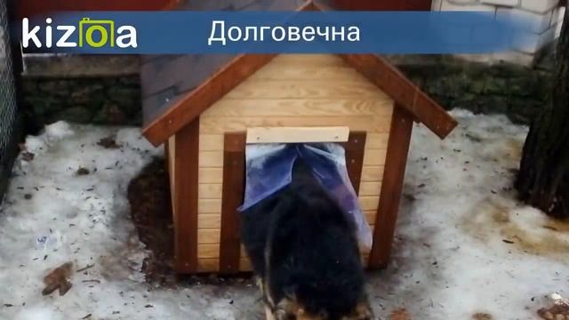 Силиконовая шторка для собачьей будки | Шторки на будку для собаки смотреть онлайн