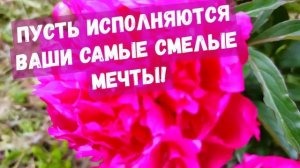 КРАСИВОЕ ПОЗДРАВЛЕНИЕ К 8 МАРТА! С Международным женским днём!