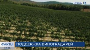 В Новороссийске состоялось выездное заседание аграрного комитета ЗСК