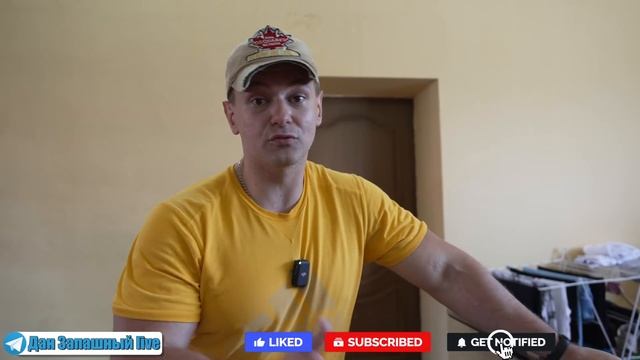 ЧТО да КАК?! НОВОСТИ ДАНА ЗАПАШНОГО, про шимпанзе, собак и Влада | 