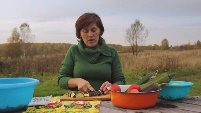 Легкий рецепт овощного рагу от которого мало кто может отказаться. Заморожен на зиму смотреть онлайн