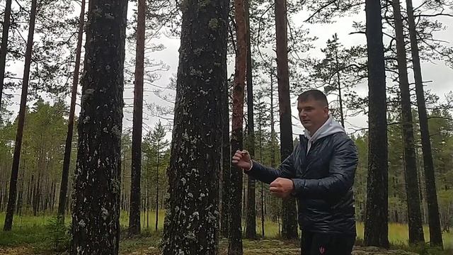 Удар станет жёстким! Три упражнения для жёсткого удара! Санчин и удар! смотреть онлайн