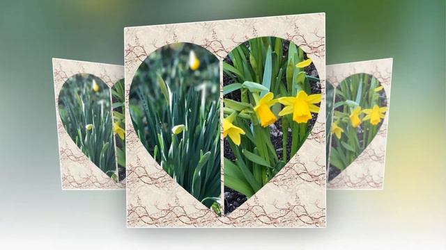 🌷Арт-студия "Я люблю снимать фото и видео". Наши фотозарисовки: с 27.03 по 01.04.2021🌷 смотреть онлайн