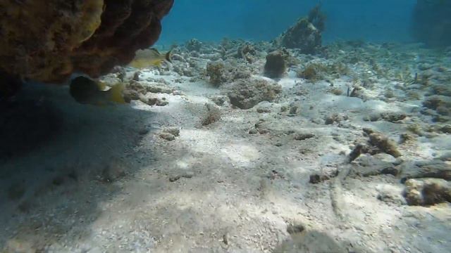 Christ of The Abyss Key Largo смотреть онлайн