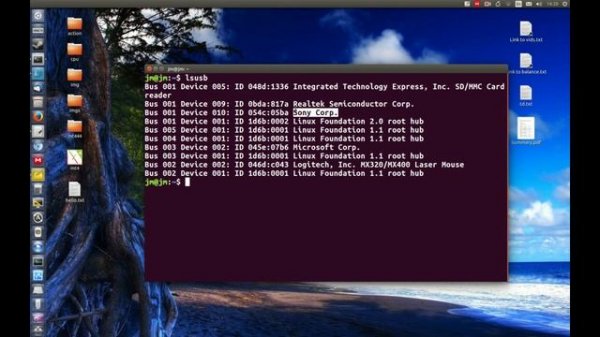Linux Terminal: View connected USB devices