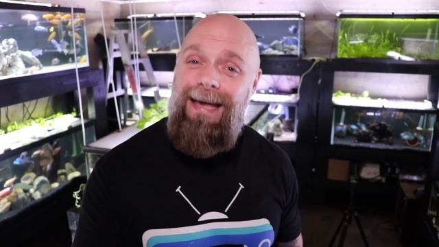 Seachem Tidal 55 Hang on Back Filter Long Term Review смотреть онлайн