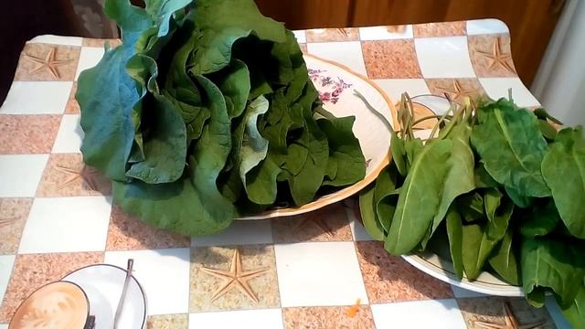 Готовим весело и со вкусом 