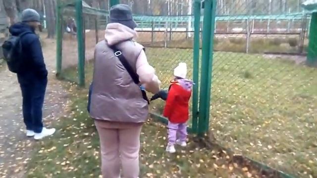 Достопримечательности Орловской области смотреть онлайн