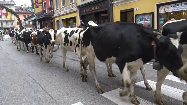 27-09-2019 ASIAGO (VI) CHE MERAVIGLIA LA SFILATA DELLA TRANSUMANZA ESSERCI CHE EMOZIONE FORTE смотреть онлайн