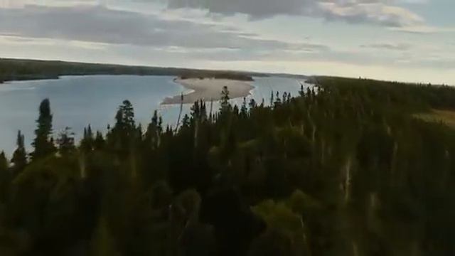 Maïna смотреть онлайн