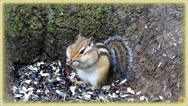 Добрая сказка леса смотреть онлайн