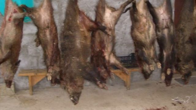cassa manna.wmv смотреть онлайн