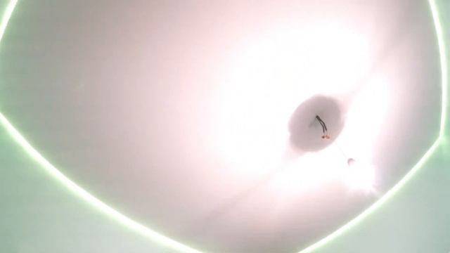 Отзыв от Вероники Александровны о компании Потолок-Альянс смотреть онлайн