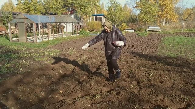 ТАРПАН - надёжный друг и помощник огородника ! смотреть онлайн