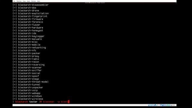 BlackArch Linux Hacking - Configuration смотреть онлайн