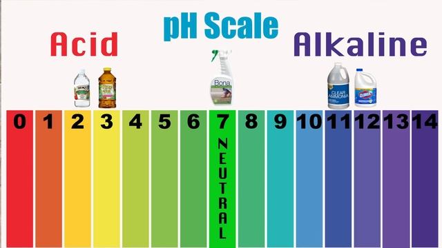 How To Clean Grout Between Professional Cleanings смотреть онлайн