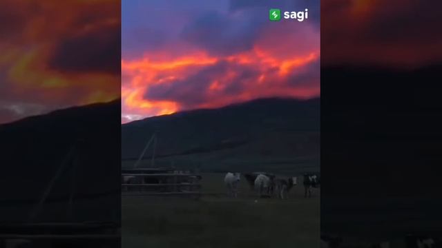 Красивые стихи свободолюбивых Кочевников Тюрки Сила !!! смотреть онлайн