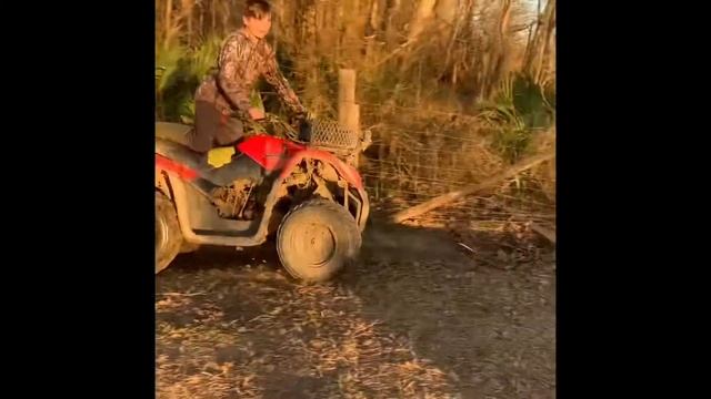 Willing 150 arctic cat смотреть онлайн