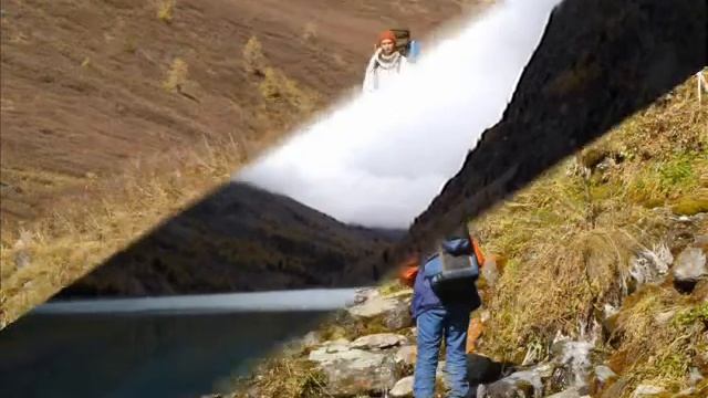 Шавла смотреть онлайн