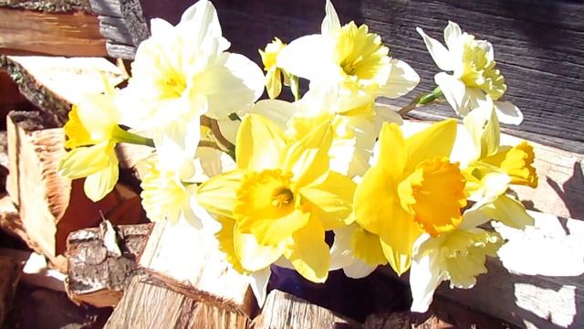 ПРИШЛА ВЕСНА В ГУРИЮ смотреть онлайн