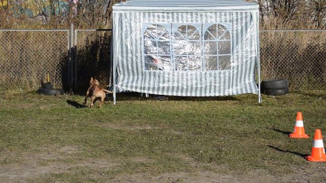 uchastnik16uprazhnenie1 смотреть онлайн