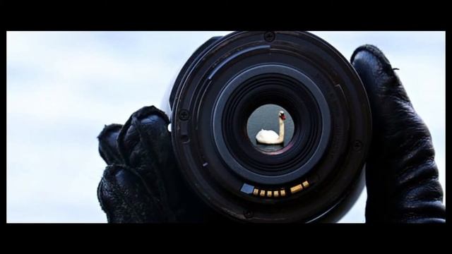 Kamera für Einsteiger- und Hobbyfotografen ? - Canon Eos 77d Review | Mr.Moritz.tv смотреть онлайн