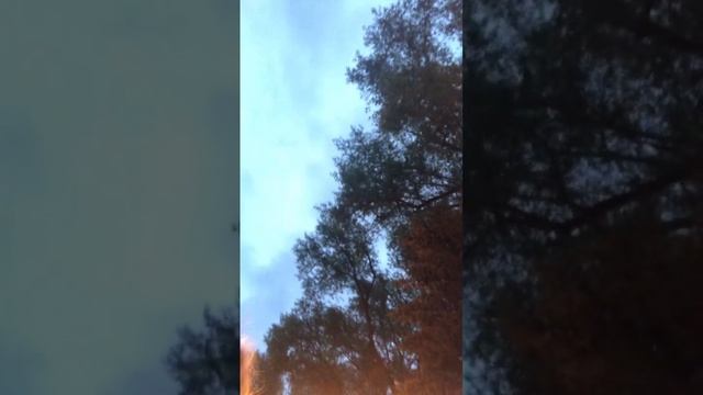 Минск Беларусь, парк Победы, 17.05.2023, одно наслаждение для ушей #belarus #беларусь #minsk #минск смотреть онлайн