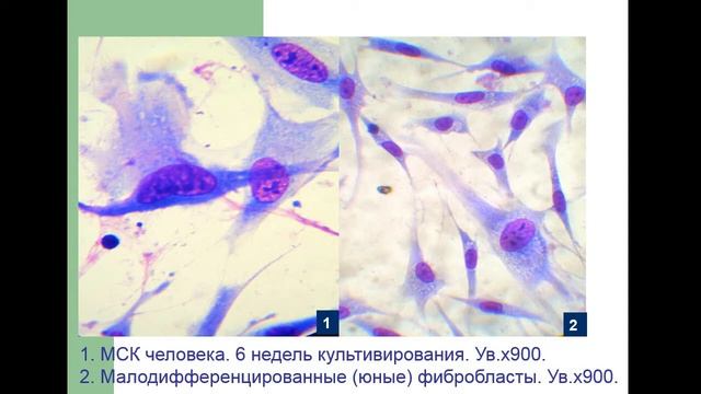 Вводная лекция ч.5 смотреть онлайн