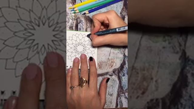 Мандала, трафарет на 24 луча смотреть онлайн