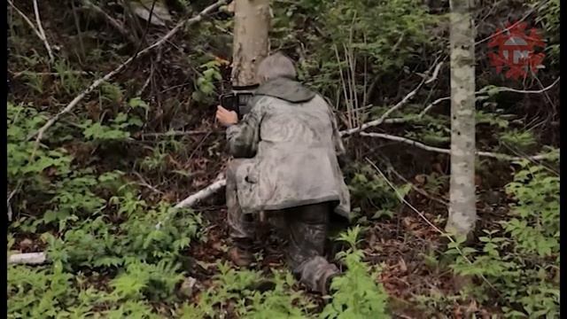 11 января в России отмечают День заповедников и национальных парков смотреть онлайн