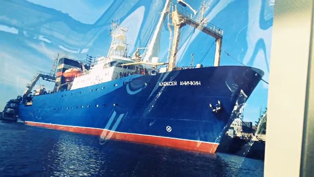 Морской порт в г.Калиниград. смотреть онлайн