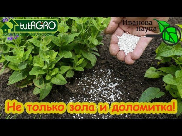 БЕЗ ЗОЛЫ и ДОЛОМИТКИ. Раскисляющая быстрая подкормка. Щелочные удобрения творят чудеса!