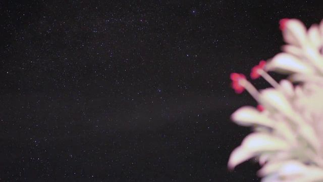 sony nex 5 night time lapse смотреть онлайн
