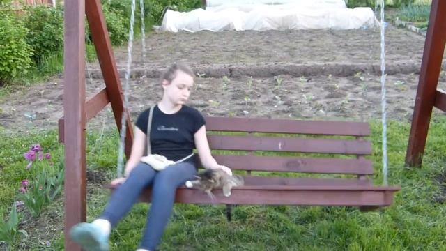 Марсик качается на качелях смотреть онлайн