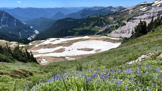 Евангелие от Матфея 8 глава