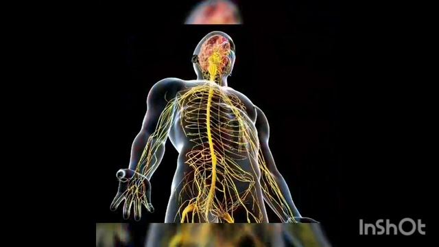 ТОП 10 СКРЫТЫХ ПРИЗНАКОВ ВЫСОКОГО ИНТЕЛЛЕКТА . смотреть онлайн