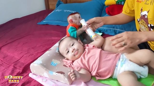 Cute videos of Monkey Kaka and the baby Diem when can't walk смотреть онлайн