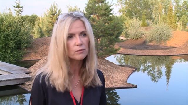 Японский сад расцвел в Тюмени смотреть онлайн