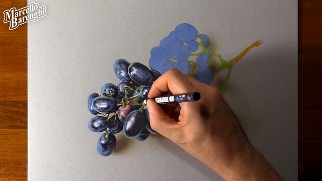 Drawing grapes смотреть онлайн