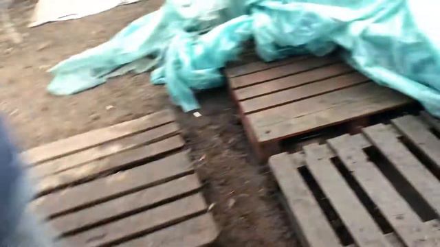 Высадка кукурузы в кассеты смотреть онлайн
