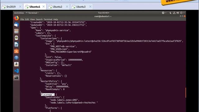 Swarm - Label Constraint смотреть онлайн