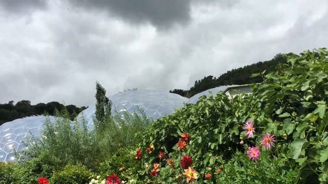 Eden Project Cornwall August 2020. Проект «Эдем» Корнуолл, Великобритания