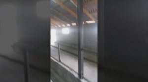 Сарай для крс