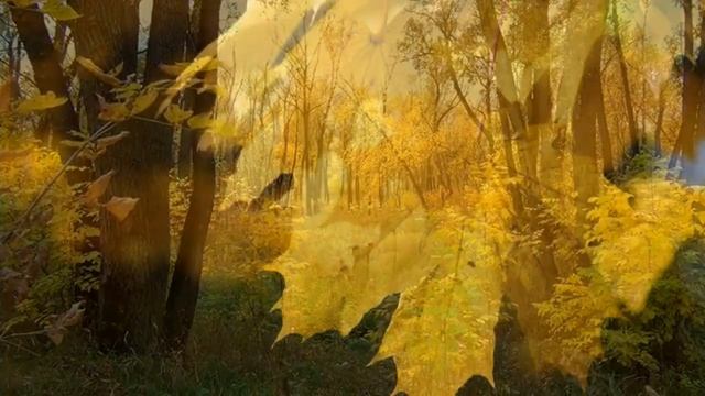 По дорожкам и по тропочкам смотреть онлайн