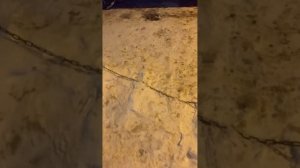 Changan uni-t. Как поставить на охрану заведенный авто юни-т