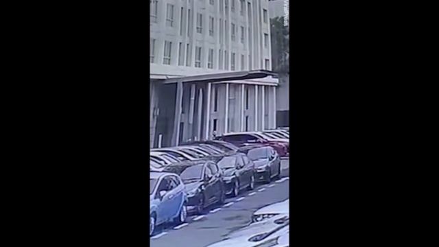 Кот выпал из окна многоэтажки - и это засняли на видео! смотреть онлайн