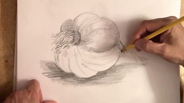 Learn how to draw a garlic bulb смотреть онлайн