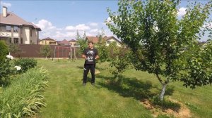 благоустройство и планирование участка, план участка