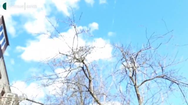 Харьков , станция метро Армейская смотреть онлайн